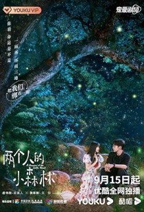 A Romance of the Little Forest Poster