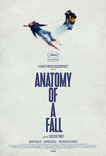 Anatomy of a Fall Poster