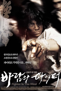Fighter in the Wind Poster