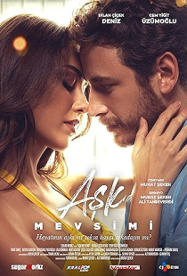 Season of Love Poster