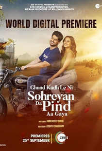 Sohreyan Da Pind Aa Gaya Poster