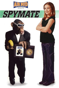 Spymate Poster