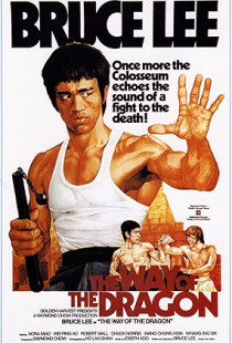 The Way of the Dragon Poster