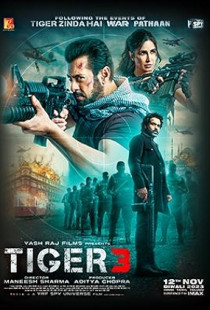 Tiger 3 Poster