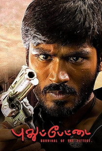 Pudhu Pettai (2006)