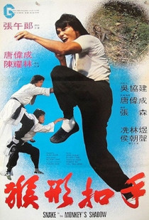 Snake in the Monkey's Shadow (1979)