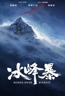Wings Over Everest (2019)