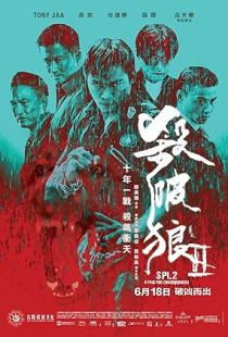 Kill Zone 2 (2015)